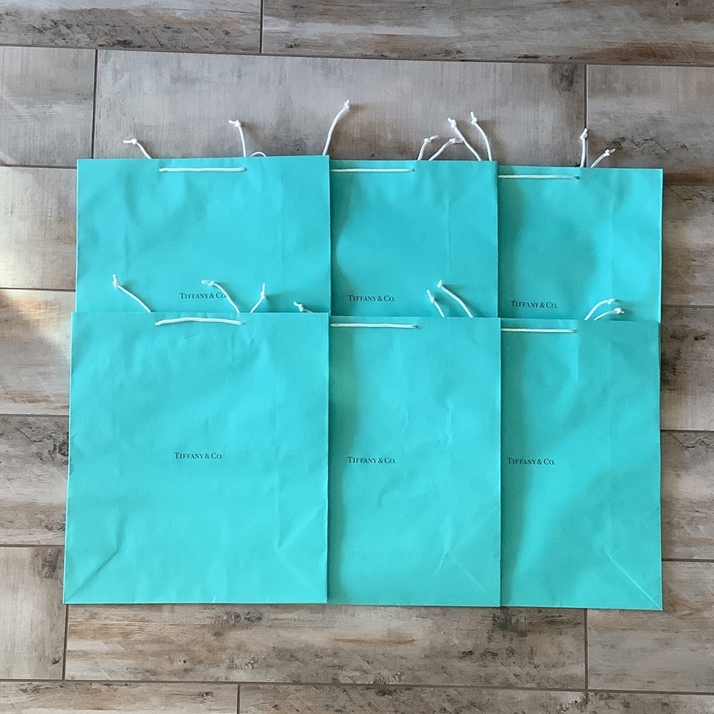 Tiffany & Co. Extra Large 20”x18”x7” Bags - Set of 6!